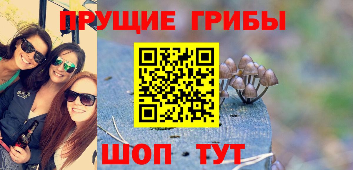 Псилоцибиновые грибы мухоморы Йошкар-Ола